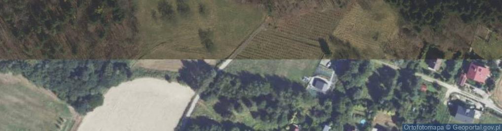Zdjęcie satelitarne Szyk ul.