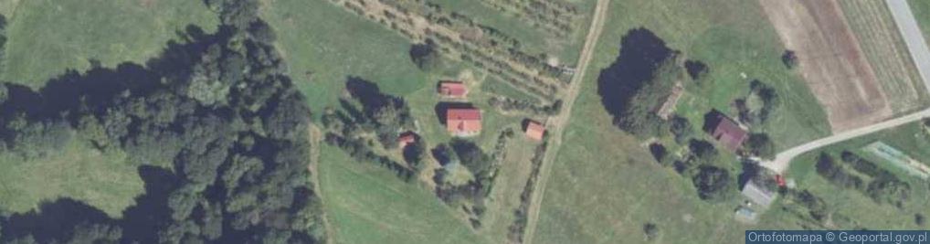 Zdjęcie satelitarne Szyk ul.