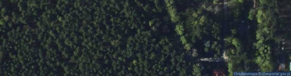 Zdjęcie satelitarne Szpitalna ul.