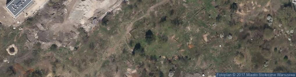 Zdjęcie satelitarne Szumu Drzew ul.