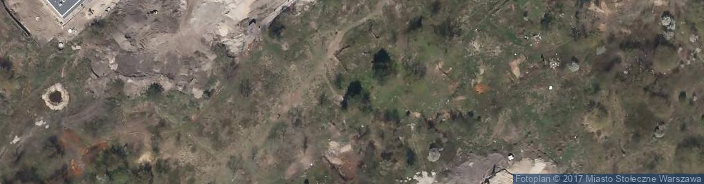 Zdjęcie satelitarne Szumu Drzew ul.