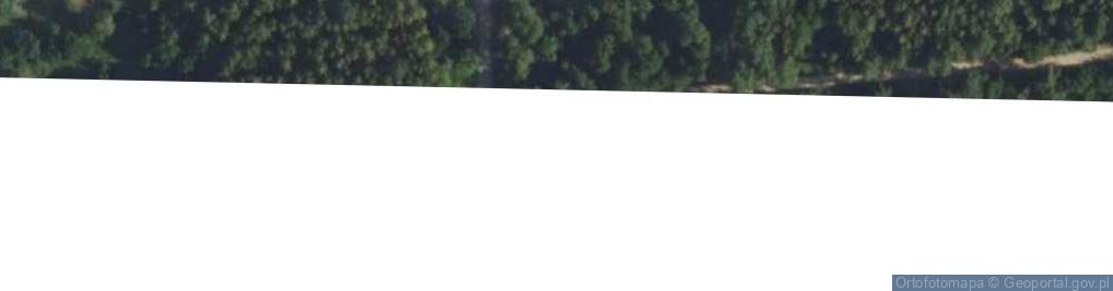 Zdjęcie satelitarne Szkocka ul.