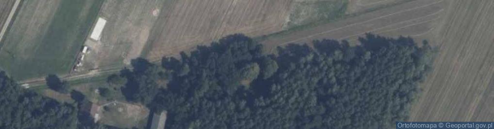 Zdjęcie satelitarne Taneczna ul.