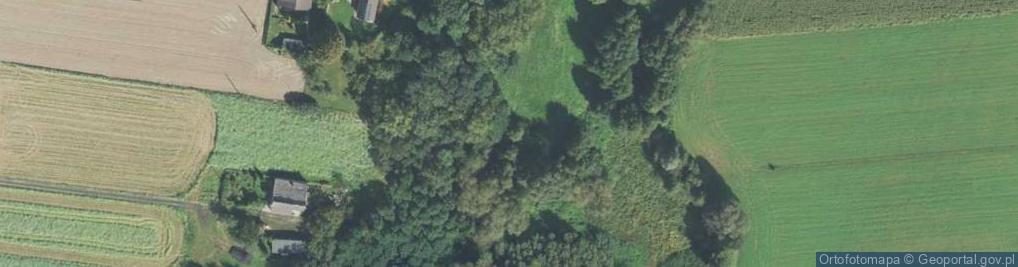 Zdjęcie satelitarne Tarczowa ul.