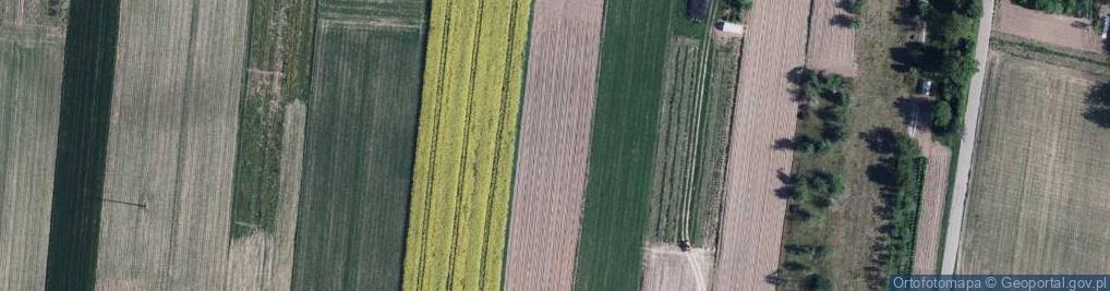 Zdjęcie satelitarne Tarki Michała, sędziego ul.