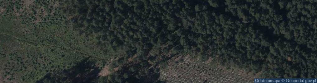 Zdjęcie satelitarne Tadeusza ul.