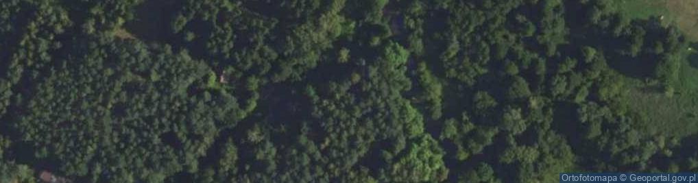 Zdjęcie satelitarne Tarachowizny ul.