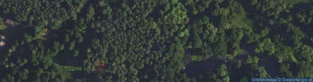 Zdjęcie satelitarne Tarachowizny ul.