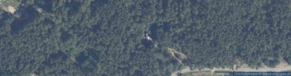 Zdjęcie satelitarne Tadeuszów ul.