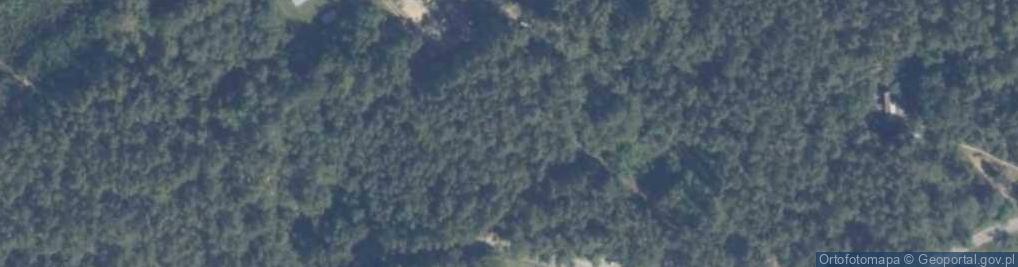 Zdjęcie satelitarne Tadeuszów ul.