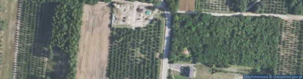 Zdjęcie satelitarne Tadeuszów ul.