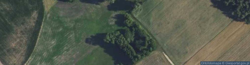 Zdjęcie satelitarne Taraskowo ul.