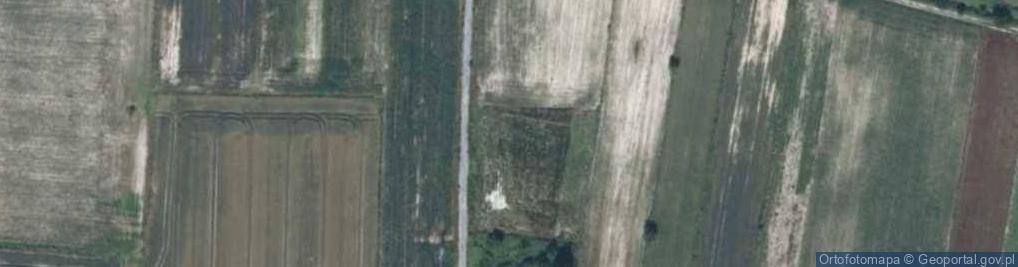 Zdjęcie satelitarne Targowisko ul.