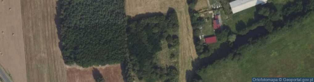 Zdjęcie satelitarne Targówka ul.