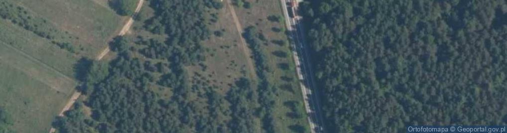 Zdjęcie satelitarne Tarnowska ul.