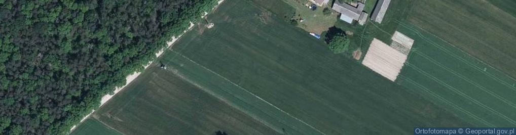 Zdjęcie satelitarne Tchórzew-Kolonia ul.