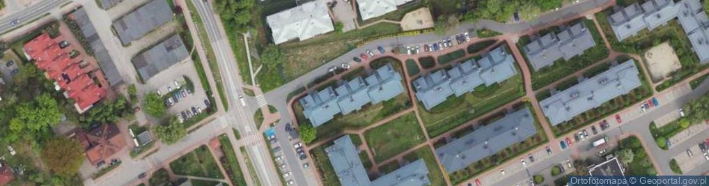 Zdjęcie satelitarne Teligi Leonida ul.
