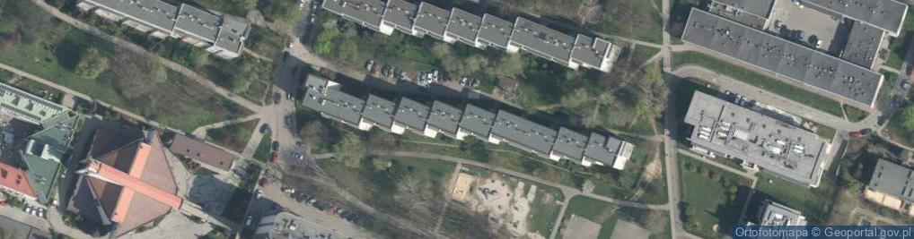 Zdjęcie satelitarne Teligi Leonida ul.