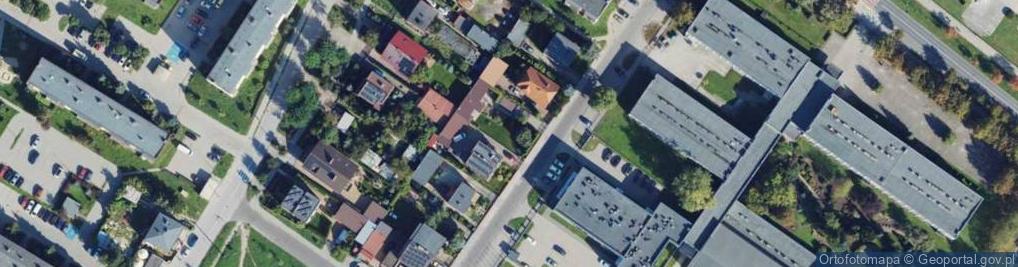 Zdjęcie satelitarne Teligi Leonida ul.