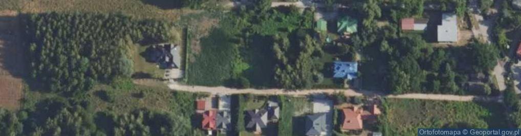 Zdjęcie satelitarne Teligi Leonida ul.
