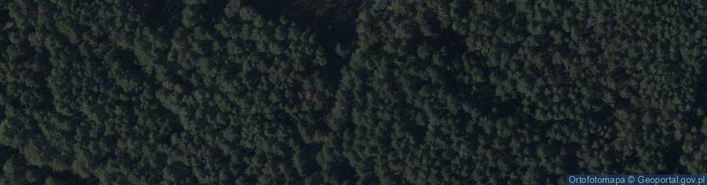 Zdjęcie satelitarne Telimeny ul.