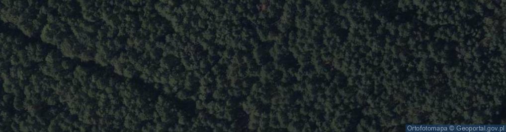 Zdjęcie satelitarne Telimeny ul.