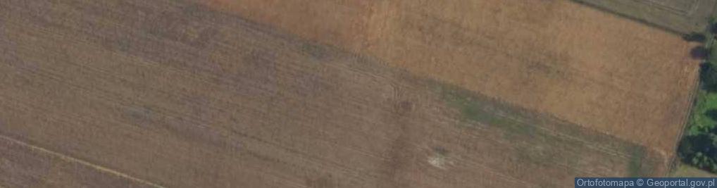 Zdjęcie satelitarne Teraźniejsza ul.