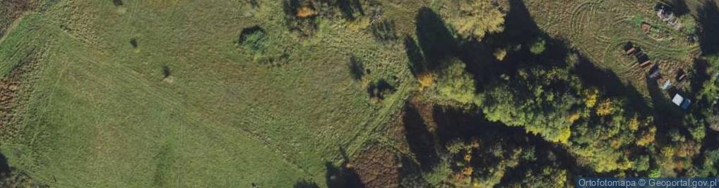 Zdjęcie satelitarne Teligi Leonida ul.