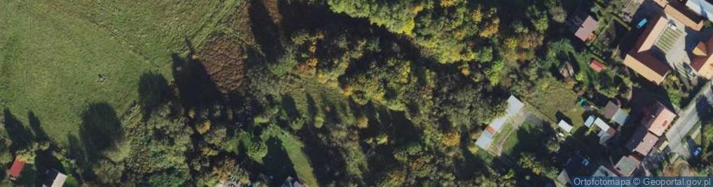 Zdjęcie satelitarne Teligi Leonida ul.