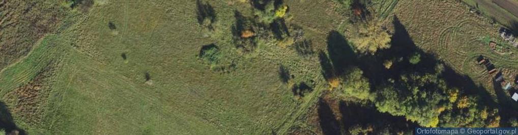 Zdjęcie satelitarne Teligi Leonida ul.