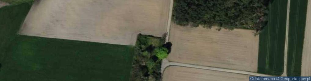Zdjęcie satelitarne Teodorów ul.