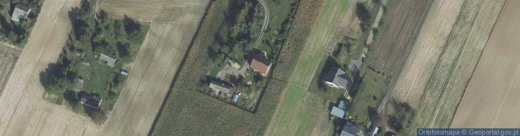 Zdjęcie satelitarne Terebiniec ul.