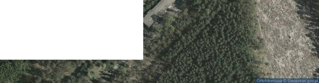 Zdjęcie satelitarne Thieme Witolda ul.