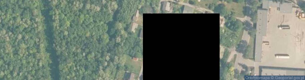 Zdjęcie satelitarne Tłukienka ul.