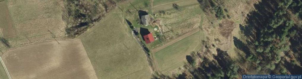 Zdjęcie satelitarne Topolowa ul.