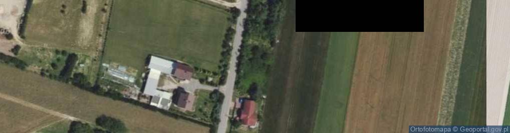 Zdjęcie satelitarne Tony Halika ul.