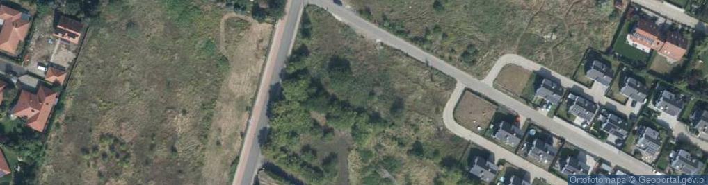 Zdjęcie satelitarne Tomasza ul.