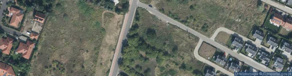 Zdjęcie satelitarne Tomasza ul.