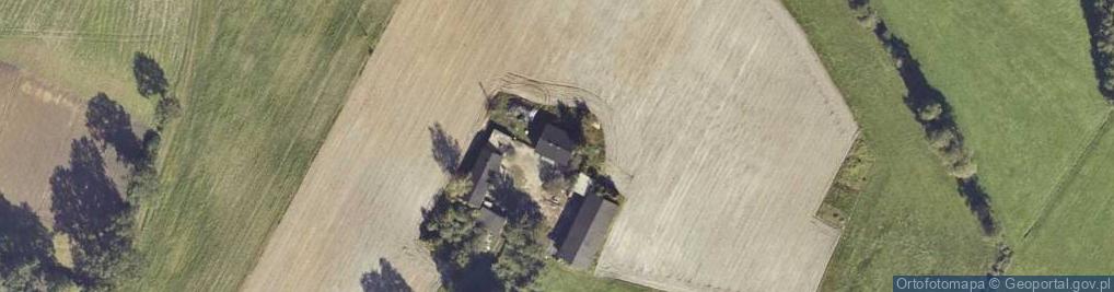 Zdjęcie satelitarne Tomaszew ul.