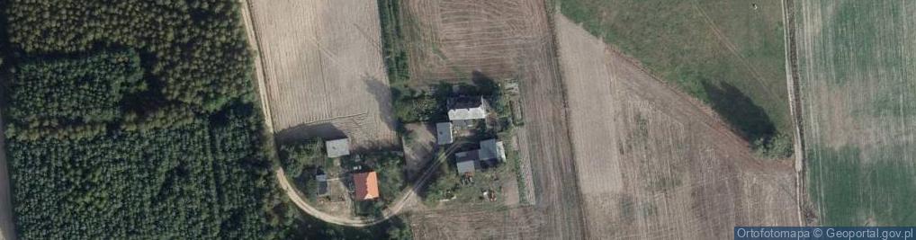 Zdjęcie satelitarne Tomaszewo ul.