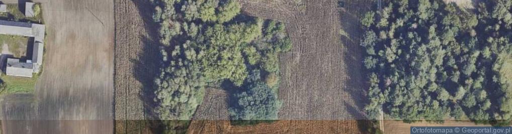 Zdjęcie satelitarne Tomaszewo ul.