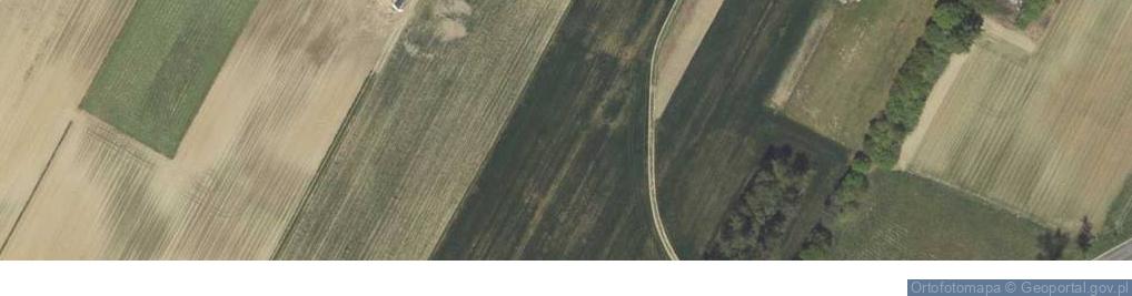 Zdjęcie satelitarne Tomaszowice-Kolonia ul.