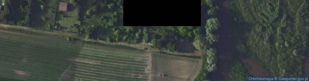 Zdjęcie satelitarne Tomisławice ul.