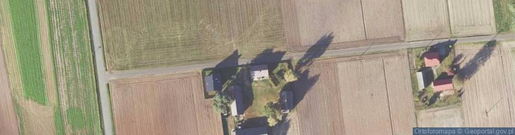 Zdjęcie satelitarne Torzeniec ul.