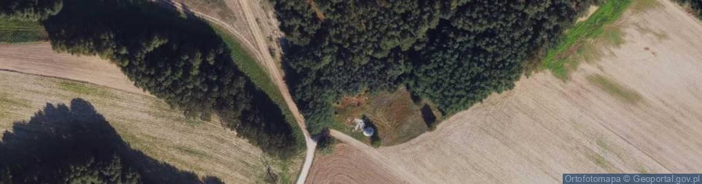 Zdjęcie satelitarne Torzewo ul.