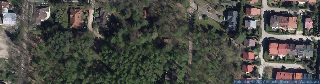 Zdjęcie satelitarne Torfowa ul.