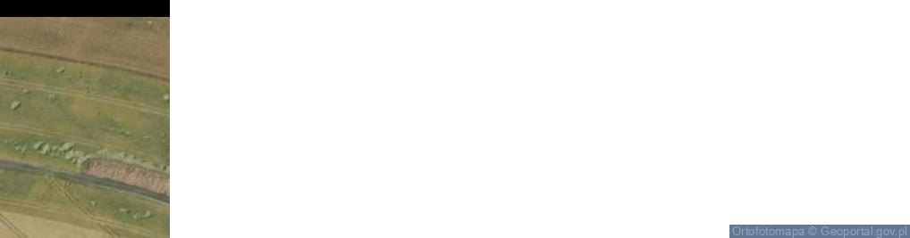 Zdjęcie satelitarne Toszecka ul.