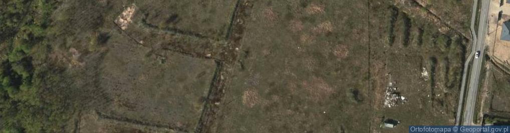 Zdjęcie satelitarne Trzeciakowskich Witolda i Zofii ul.