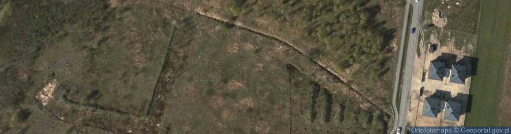 Zdjęcie satelitarne Trzeciakowskich Witolda i Zofii ul.