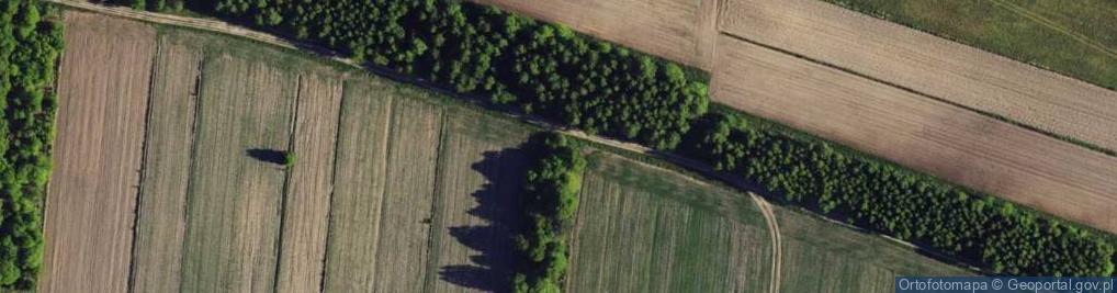 Zdjęcie satelitarne Traugutta Romualda, gen. ul.